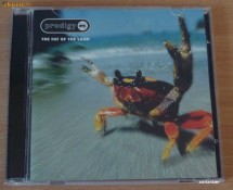 The Prodigy - The Fat Of The Land foto