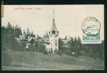 CASTELUL PELES renovat - 1906 foto