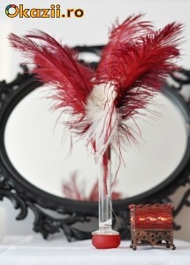 Pene naturale decorative grena foto