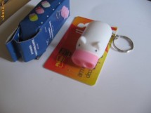 OFERTA UNICAT IN ROMANIA !  BRELOC MINILANTERNA PURCELUS !  OFERTA: 2+1 GRATUIT ! NU RATATI !  STOC LIMITAT ! GARANTEZ CEL MAI MIC PRET !! foto