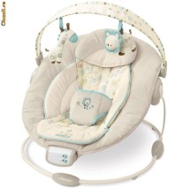 Balansoar Bright Starts Comfort & Harmony Cradling Bouncer foto