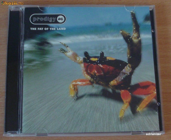 The Prodigy - The Fat Of The Land foto mare