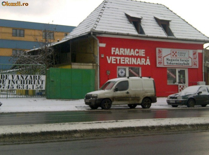 CASA SI CURTE , TIRGU MURES foto mare