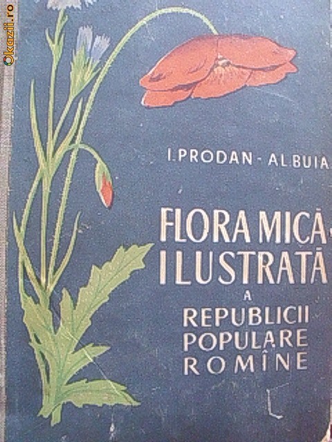 FLORA MICA ILUSTRATA A R.P.R foto mare