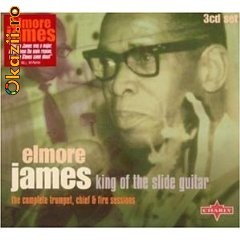 ELMORE JAMES - DUST MY BROOM -KING OF THE SLIDE GUITAR (BOX SET) foto mare