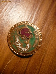 Insigna AJVPS 1 rara -1- foto